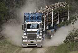 Elphinstone Logging Trailers