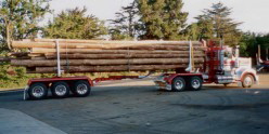 Elphinstone Logging Trailers