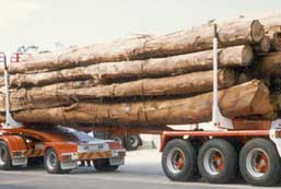 Elphinstone Logging Trailers
